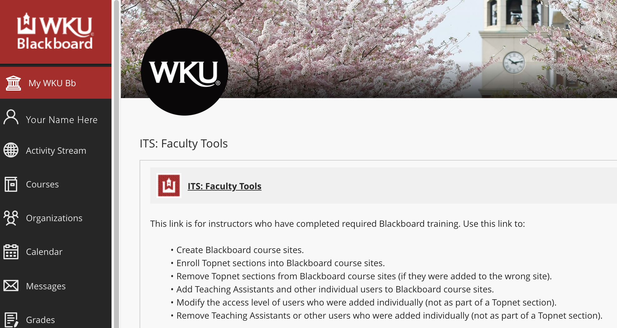 How Blackboard WKU Edu Transforms the Educational Experience插图4