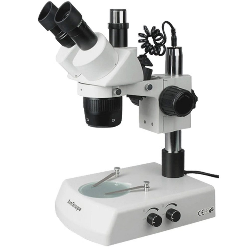 dissecting microscope