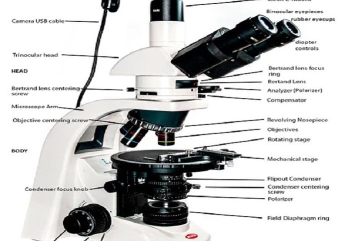 microscope labeled