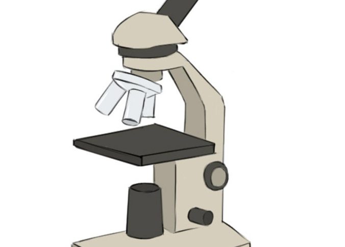 microscope drawing