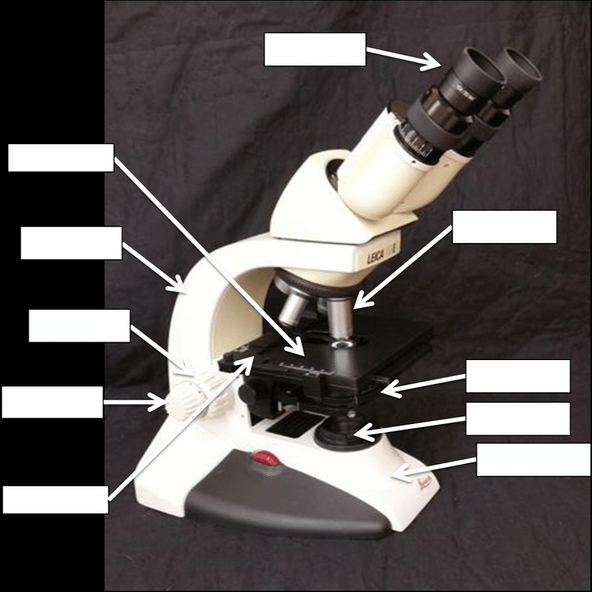 labeled microscope