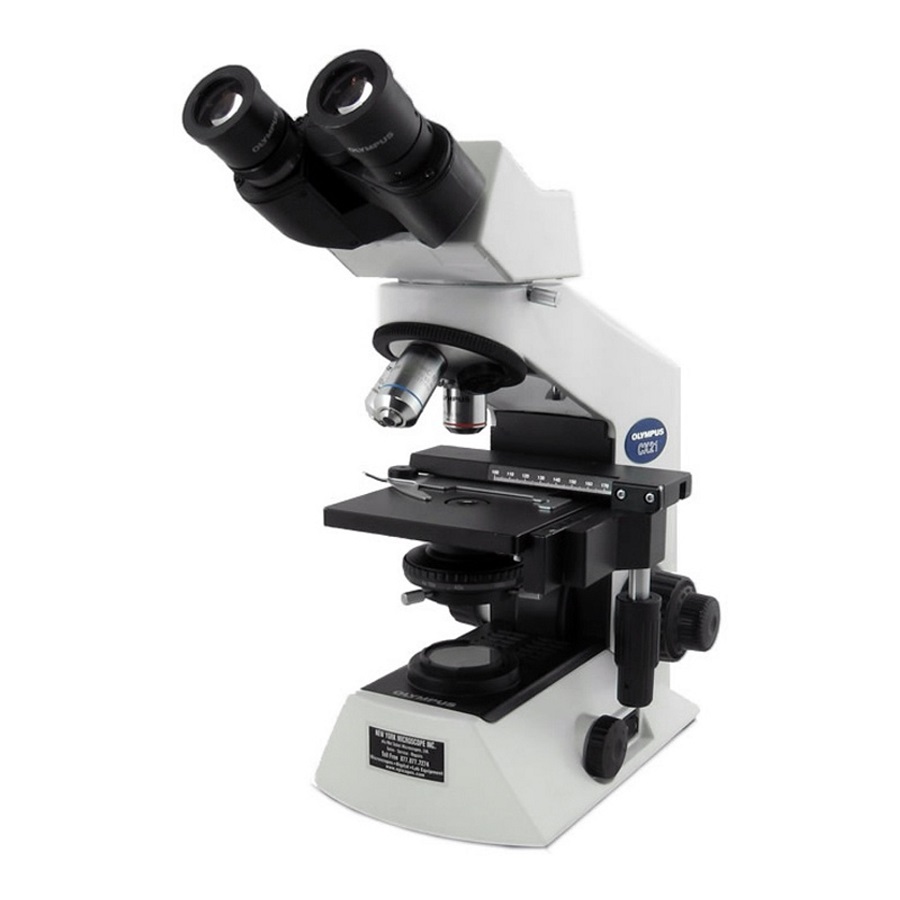 Compound Light Microscope