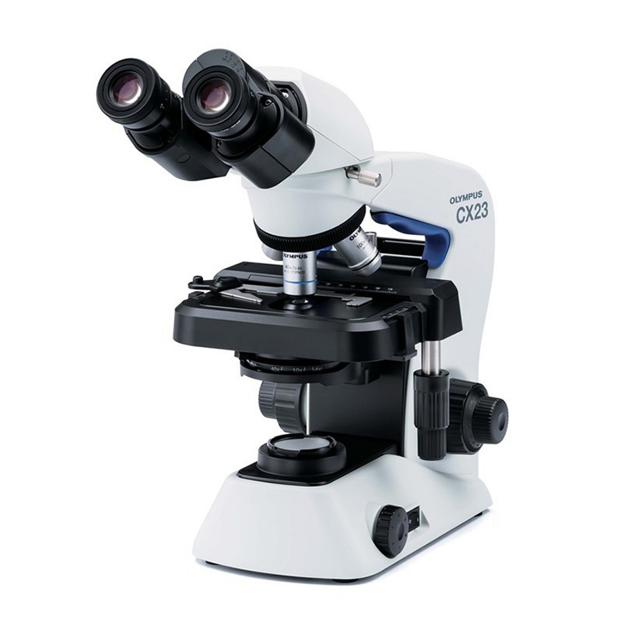 Compound Light Microscope