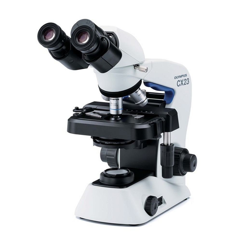 light microscope