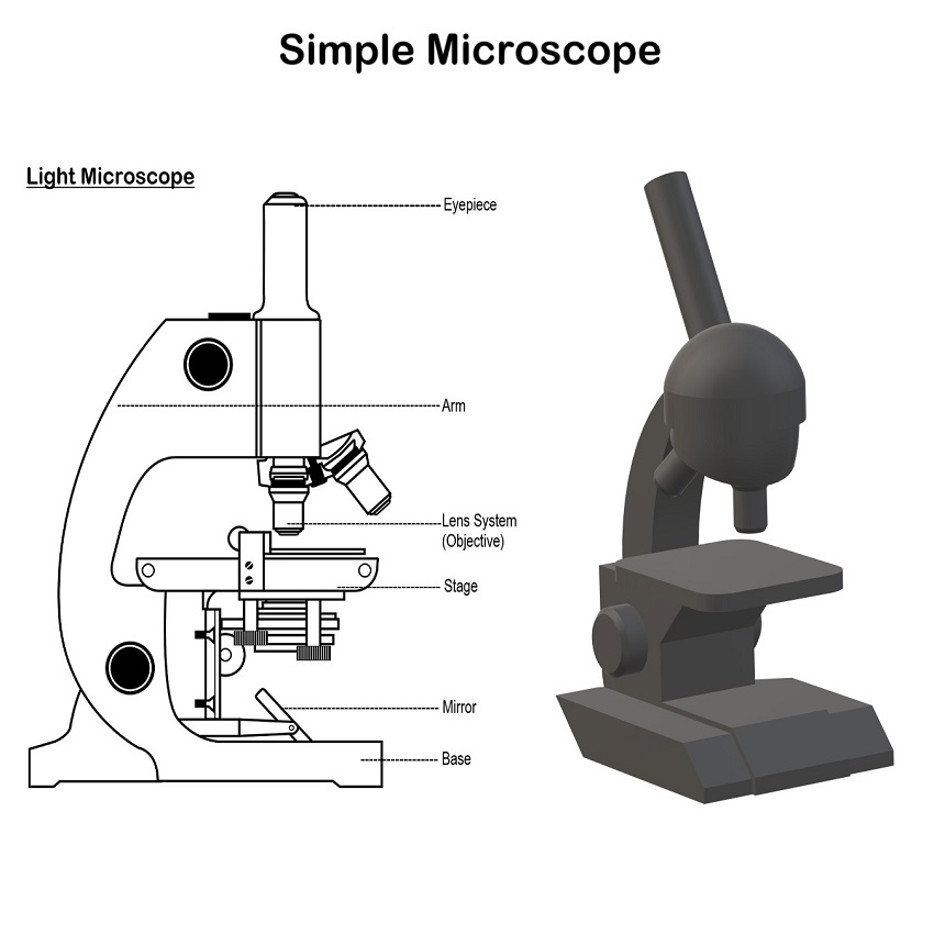 labeled microscope