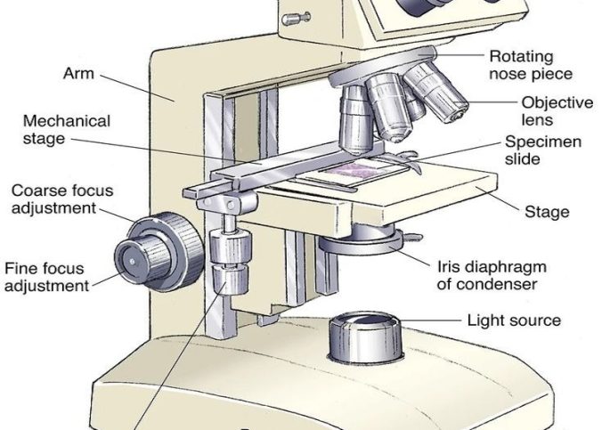 labeled microscope