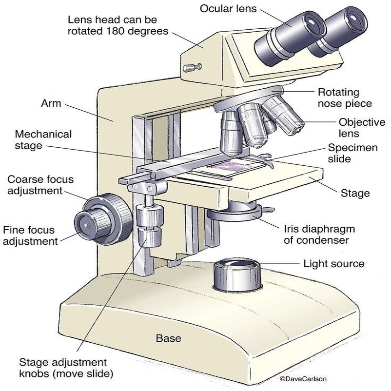 labeled microscope