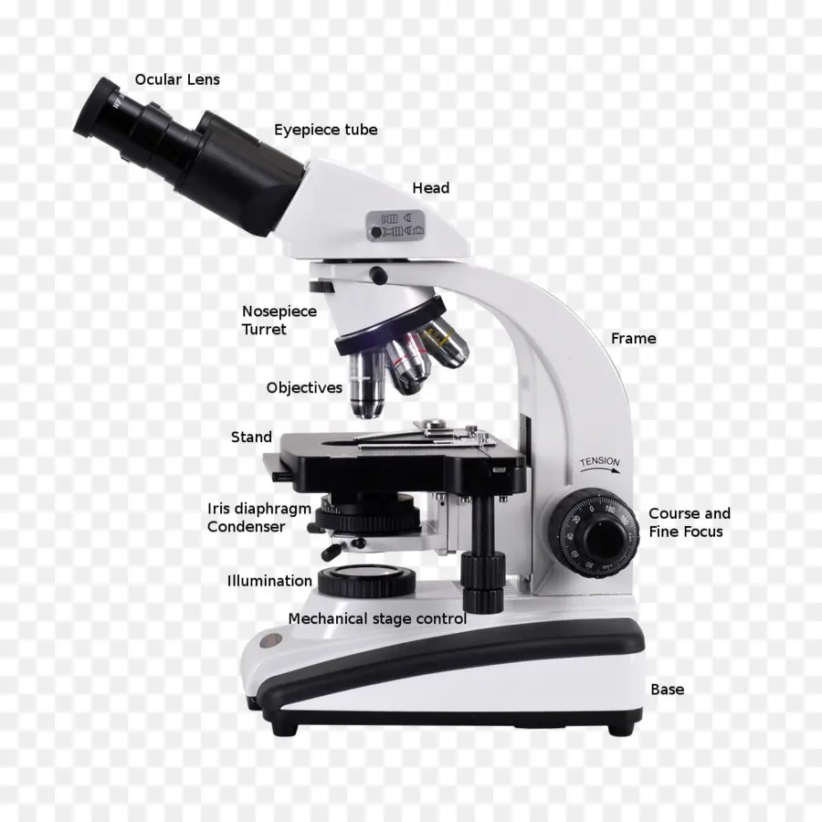 labeled microscope