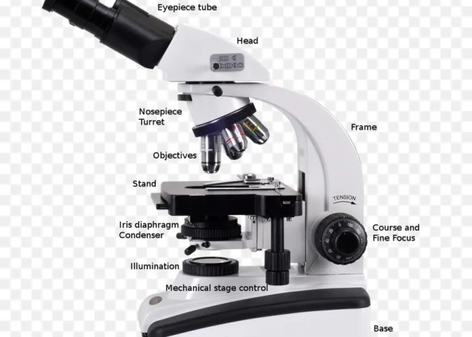 microscope diagram