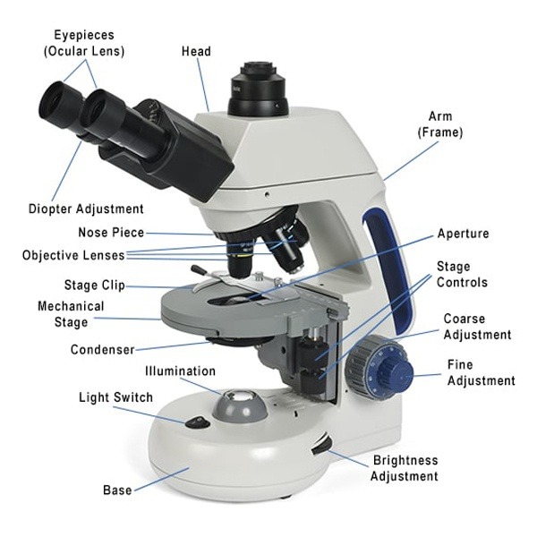 microscope labeled
