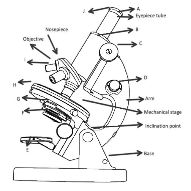 microscope parts labeled
