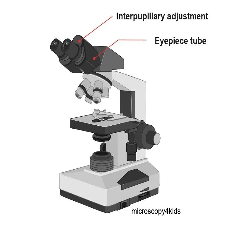 microscope parts