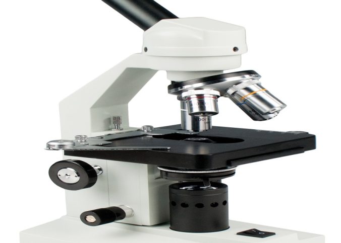 Compound Light Microscope