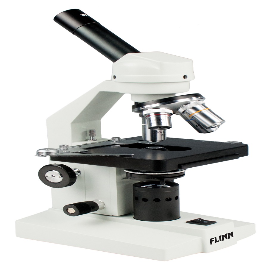 Compound Light Microscope