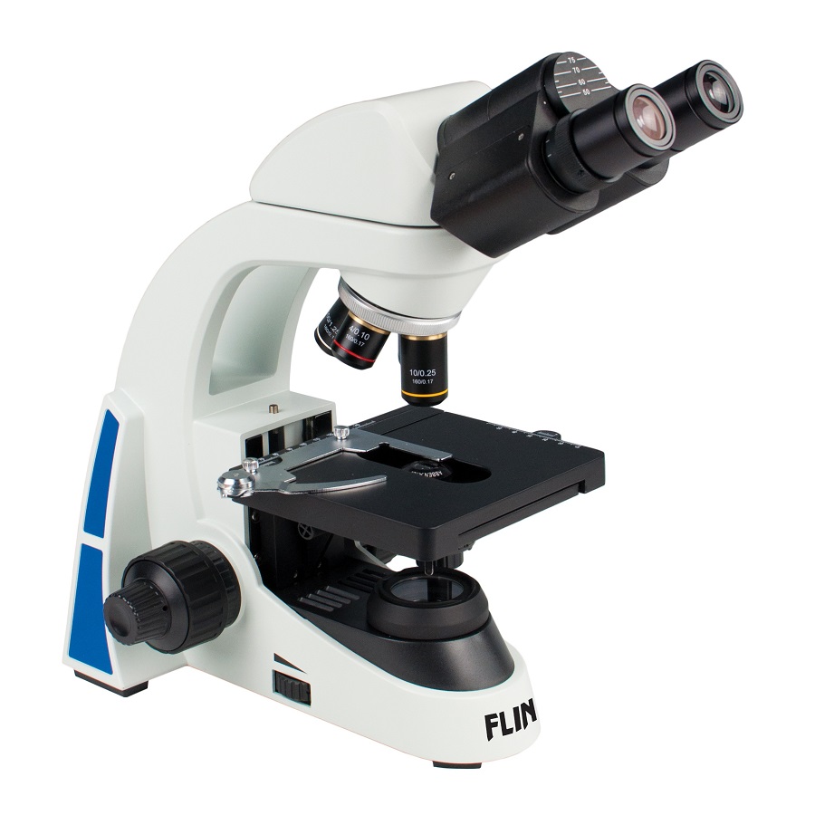 Compound Light Microscope