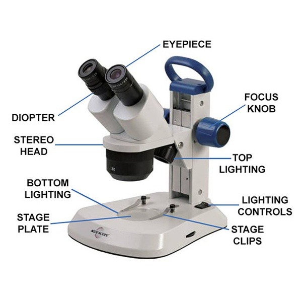 microscope labeled
