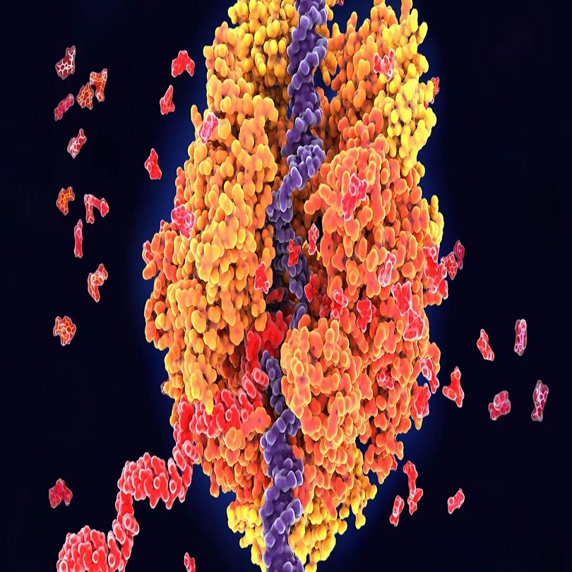 dna under microscope
