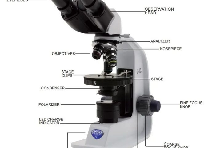 microscope labeling