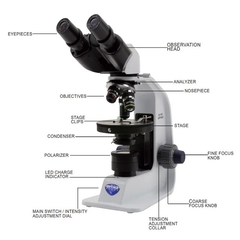 microscope labeling