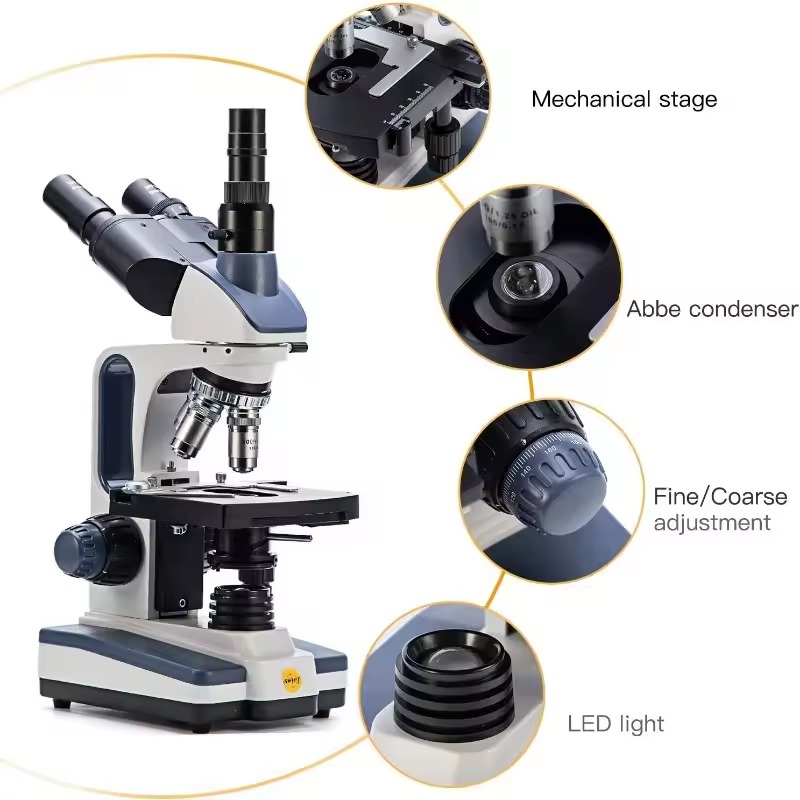 confocal microscope