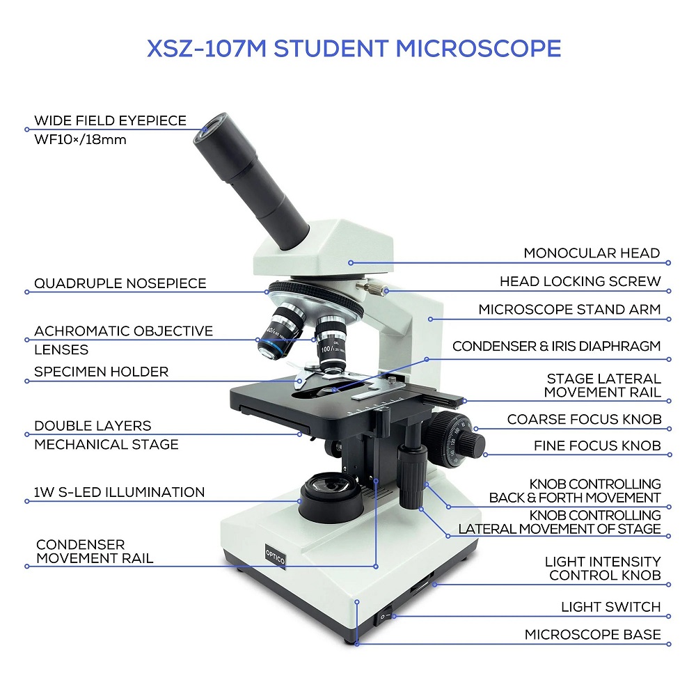 parts of a microscope labeled
