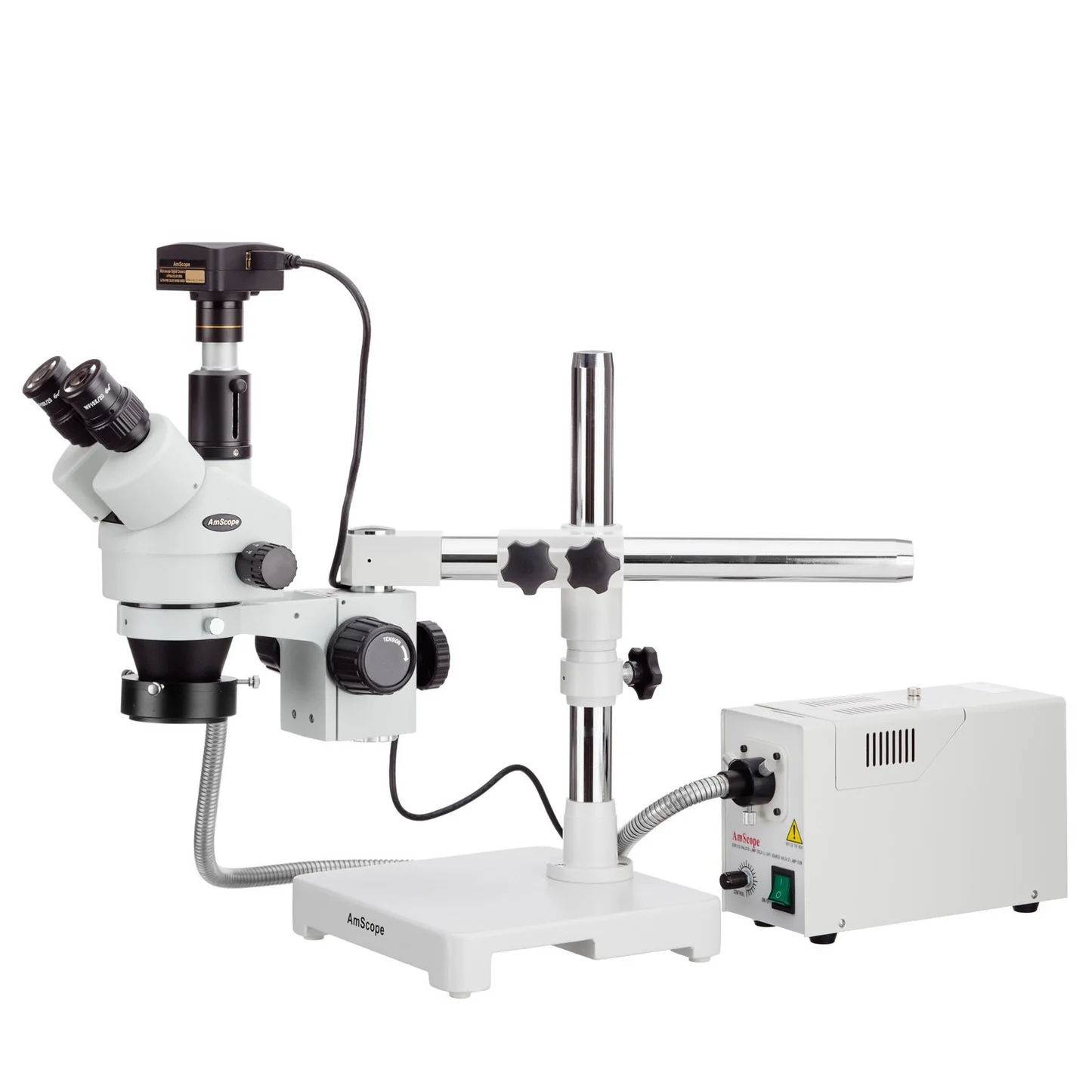 skin under microscope