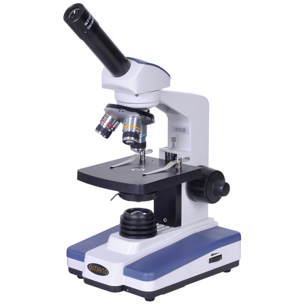 skin under microscope