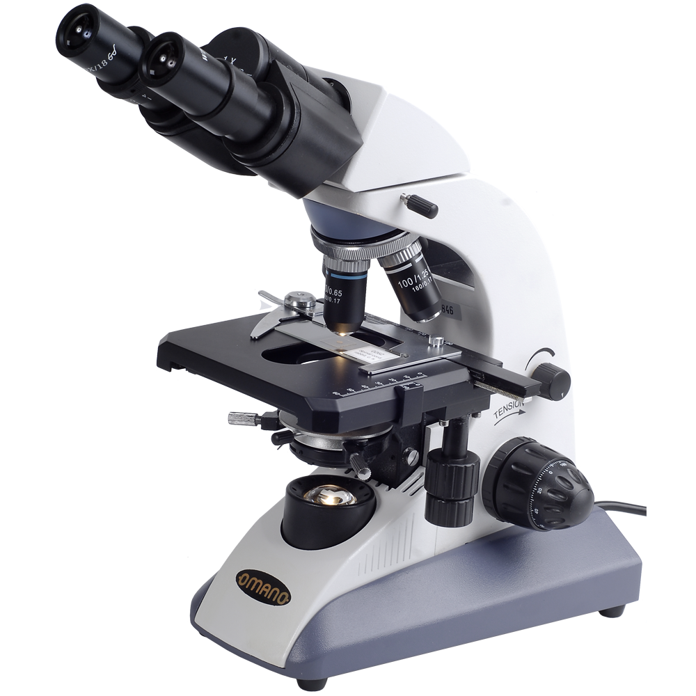 kidney stone microscope
