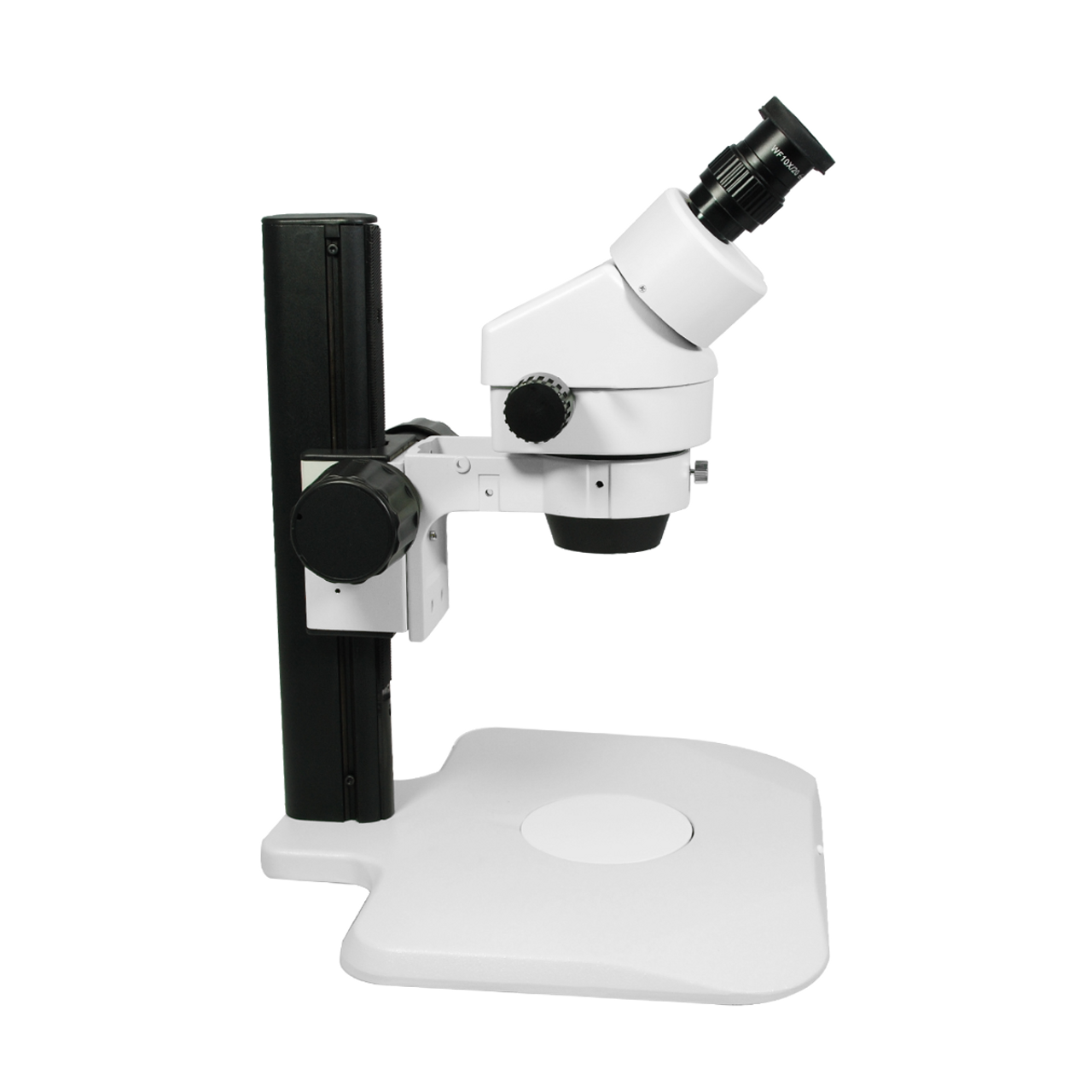 microscope