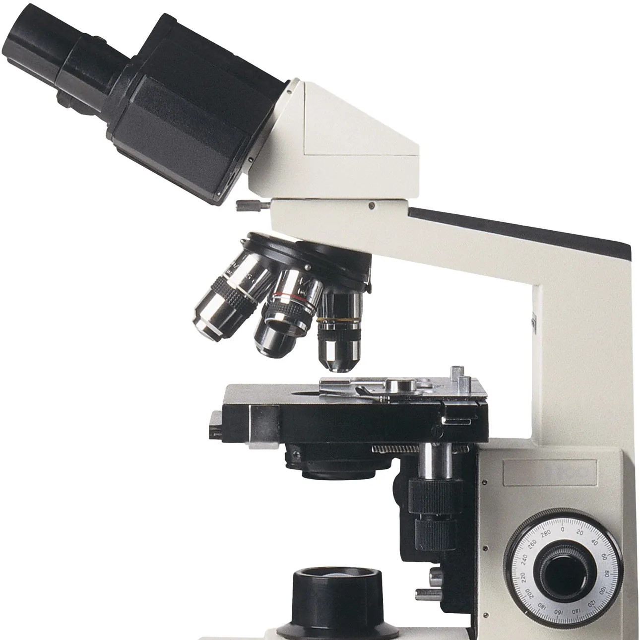 kidney stone microscope