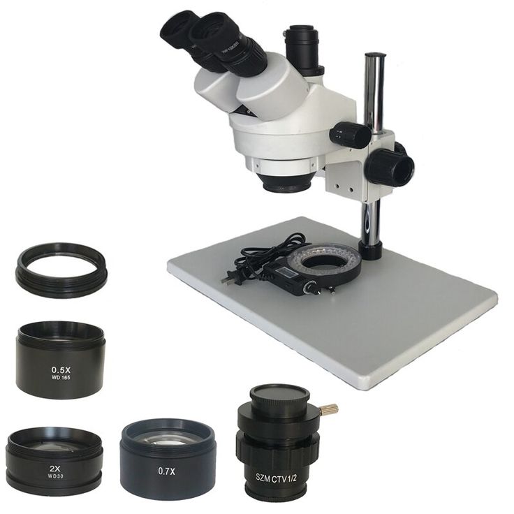 microscope