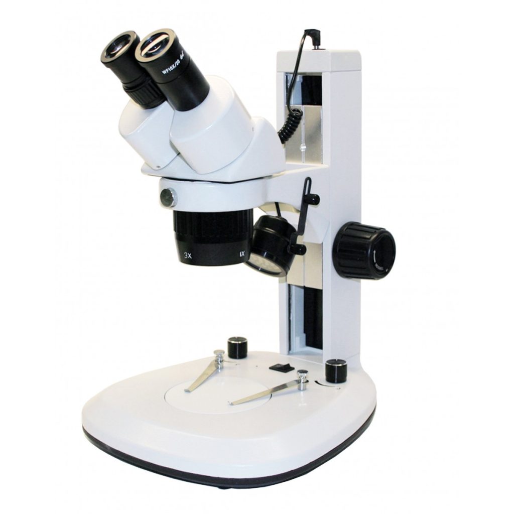 Blood Cells Under Microscope: A Detailed Look at Hematology